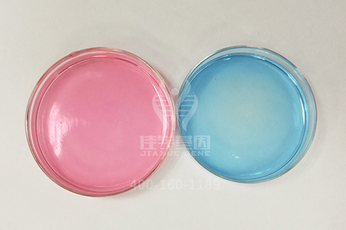 【佳学基因检测】脂质性肥胖基因解码、基因检测 【佳学基因检测】脂质性肥胖基因解码、基因检测