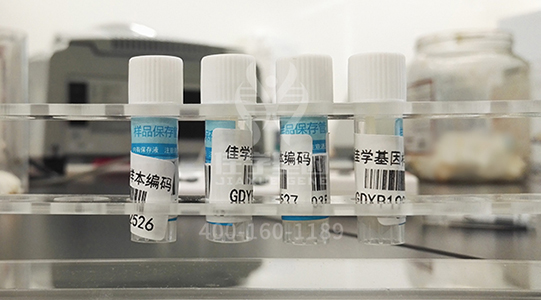 【佳学基因解码-基因检测】2018世界血友病日:分享知识 我们更坚强 【佳学基因解码-基因检测】2018世界血友病日:分享知识 我们更坚强