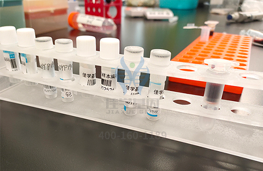 【佳学基因-基因检测】儿童补充维生素千万别乱来——缺乏、过量均有害! 【佳学基因-基因检测】儿童补充维生素千万别乱来——缺乏、过量均有害!