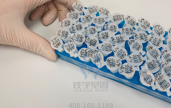 【佳学基因检测】西藏自治区延安市基因检测专科医院