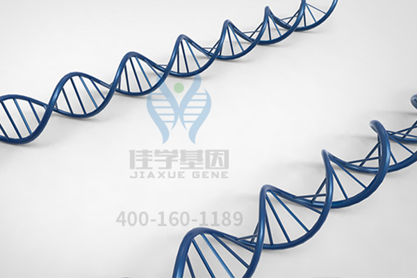 【佳学基因-基因检测】黑色素瘤具有高致死性,基因检测可以干什么? 【佳学基因-基因检测】黑色素瘤具有高致死性,基因检测可以干什么?