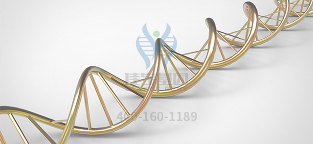 【佳学基因-基因检测】线粒体替代疗法(MRT)被用以预防线粒体遗传病 【佳学基因-基因检测】线粒体替代疗法(MRT)被用以预防线粒体遗传病